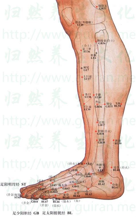 金門穴功效|金門穴位置 